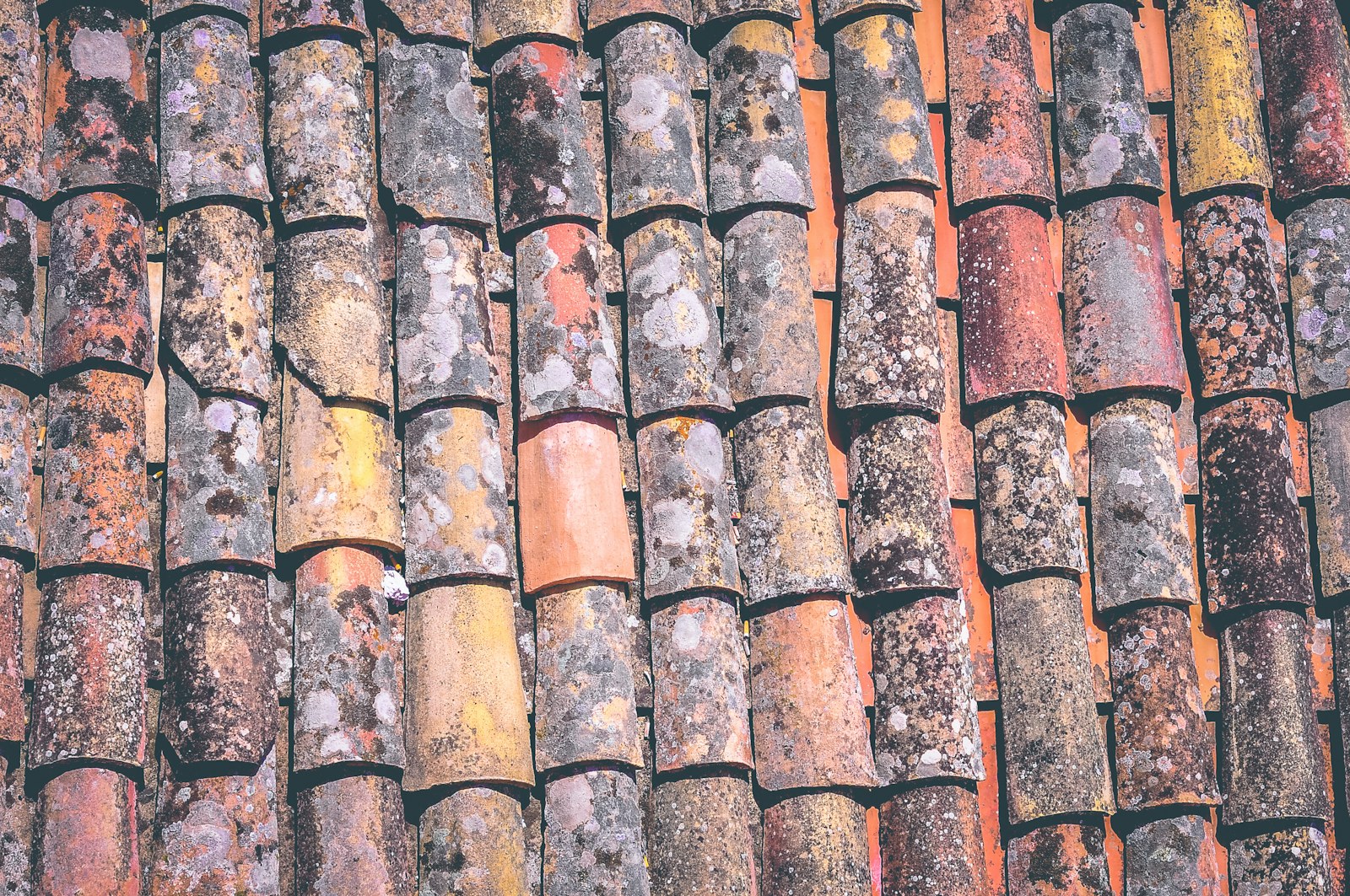 Rows of finished roof shingles on a residential building; complete roof replacement or new roof installation reference.